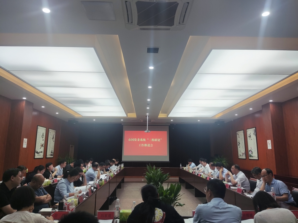 2024年7月17日，市國(guó)資委系統(tǒng)在公司開(kāi)展“三組聯(lián)建”現(xiàn)場(chǎng)觀摩（推進(jìn)會(huì)）_副本